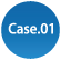 case.01